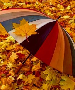 Umbrella Fall Season Paint by numbers