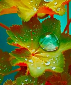 Water Drop Leaves paint by numbers