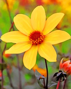 Yellow Dahlia paint by numbers