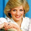 Gorgeous Lady Diana paint by numbers
