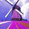 Purple Field And Windmill paint by numbers