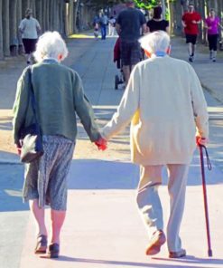 Old Couple Holding Hands paint by numbers