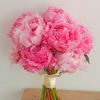 Pink Peonies Bouquet paint by number