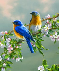 Spring Bluebirds paint by number