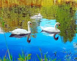 Swans Birds in lake paint by numbers