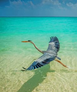Crane In Maldives Beach paint by number
