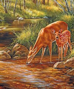 Deer Family In Forest paint by numbers