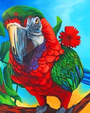 Macaw Bird paint by number
