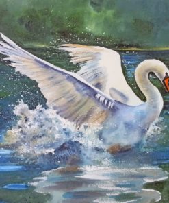 Swan Bird paint by numbers