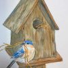 Aesthetic Bird House Paint by numbers