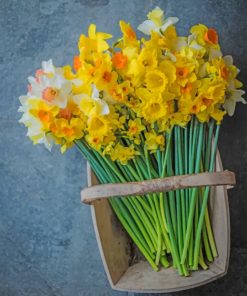 Aesthetic Daffodils Flowers Piant by numbers