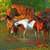 horses at the pond paint by numbers