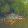 tigerfish In Water paint by numbers