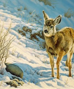 winter fawn mule deer paint by numbers