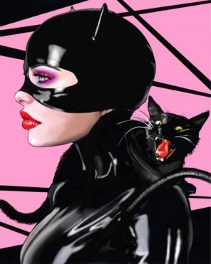 Catwoman Hero paint by numbers