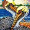 Pelican Birds Art paint by numbers