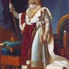 Royal Cat paint by numbers