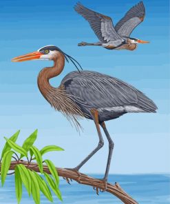great-blue-heron-birds-paint-by-number