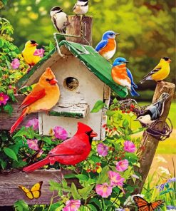Spring Birds Paint by numbers
