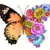 Blooming Butterfly Paint by numbers
