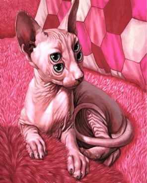 Pink Sphinx paint by numbers