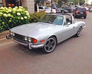grey-triumph-stag-paint-by-numbers
