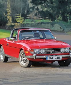 triumph-stag-paint-by-numbers