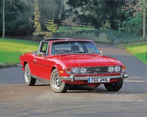 triumph-stag-paint-by-numbers