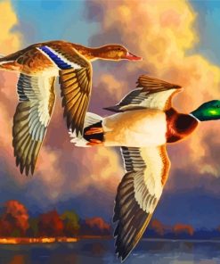 Waterfowl Birds Paint by numbers