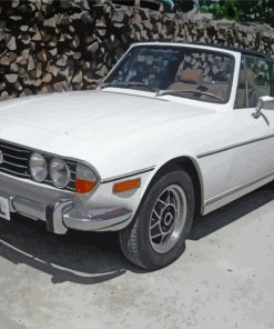 white-triumph-stag-paint-by-numbers