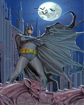 Batman Hero Paint by numbers