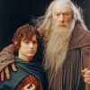 Gandalf And Frodo paint by numbers