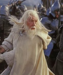 Gandalf The White Paint by numbers