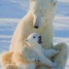 Mom-And-Baby-Polar-Bear-paint-by-numbers