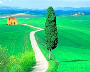 Country Road Tuscany Italy Paint by numbers