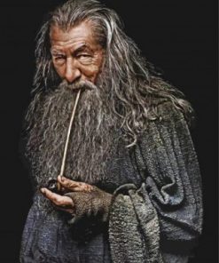 Gandalf Paint by numbers