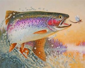 Rainbow Trout Fish Paint by numbers