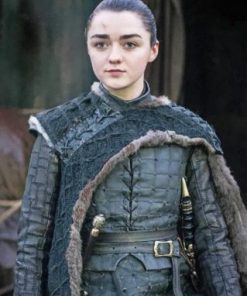 Arya Stark GOT paint by numbers