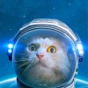 Astronaut Cat In Space paint by numbers
