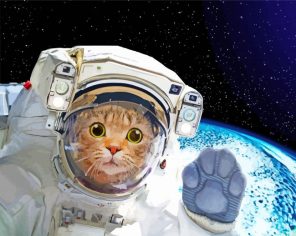 Astronaut Cat paint by number