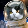 Astronaut Space Cat paint by number