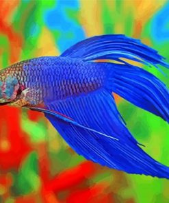 Blue Betta Siamese Fighting Fish paint by numbers