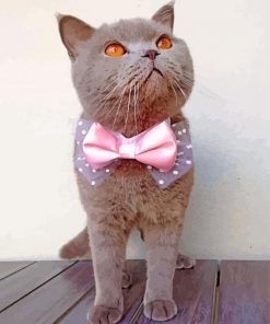 Cat Pink Bow Tie paint by numbers