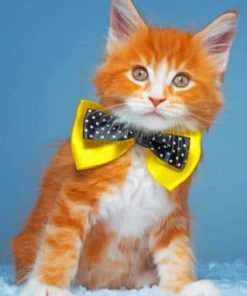 Cat With Neck Bow Tie Paint by numbers