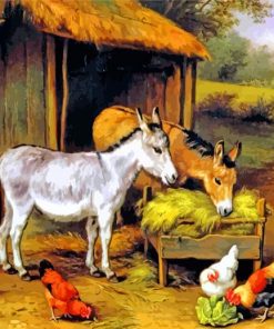 Chickens And Donkeys Feeding Outside A Barn Paint by numbers