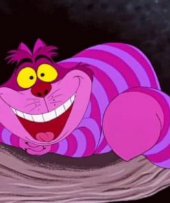 Disney Cheshire Cat paint by numbers