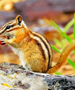 Eastern Chipmunk Rodent paint by numbers