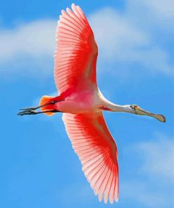 Flying Roseate spoonbill paint by number