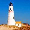 Great Point Lighthouse Nantucket paint by number