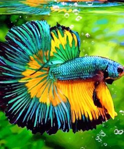 Green Yellow Betta Fish paint by number